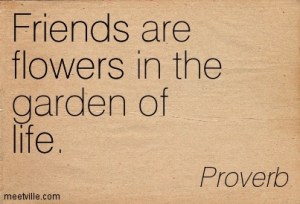 Quotation-Proverb-life-flowers-friends-Meetville-Quotes-87067